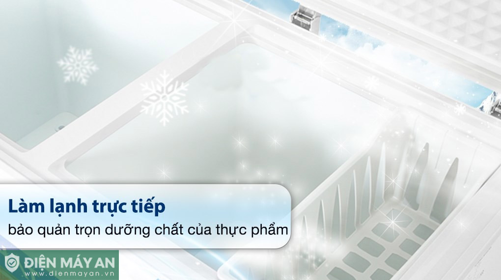 Tủ đông Hòa Phát Inverter 271 Lít HPF BD8271